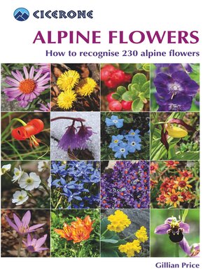 cover image of Alpine Flowers